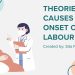 theories and causes of onset of labour