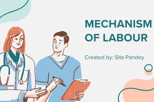 mechanism of labour