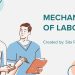 mechanism of labour